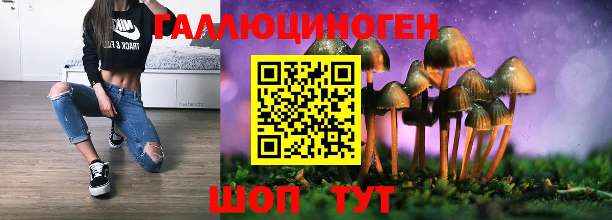 Псилоцибиновые грибы GOLDEN TEACHER  Псилоцибиновые грибы ЛСД  Славгород  Вход с VPN 